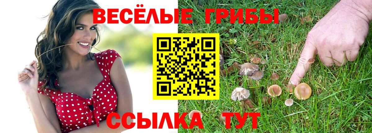 Галлюциногенные грибы Psilocybine cubensis Новошахтинск