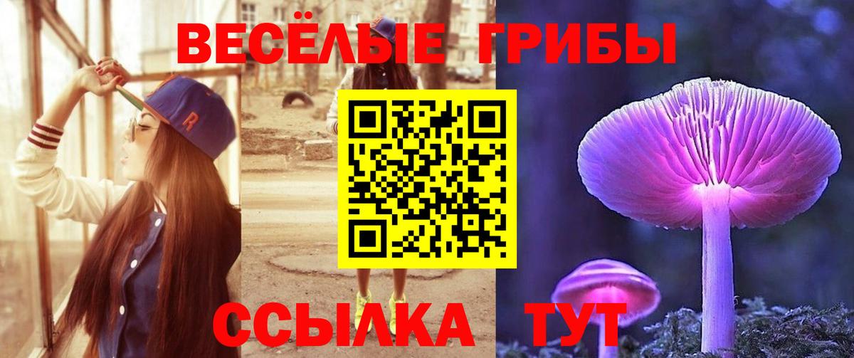 Новошахтинск  Галлюциногенные грибы MAGIC MUSHROOMS  Вход с VPN 