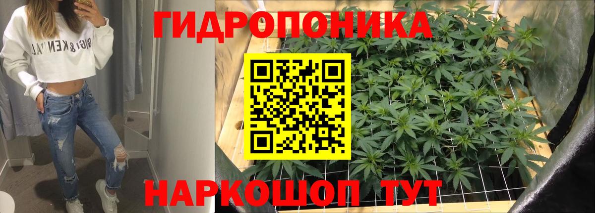 Канабис гибрид Новошахтинск